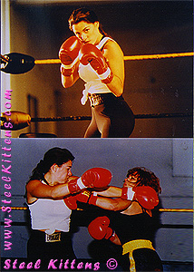 Pro-Am Boxing II