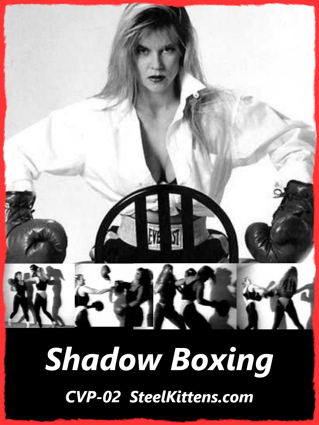 DVD: Shadow Boxing