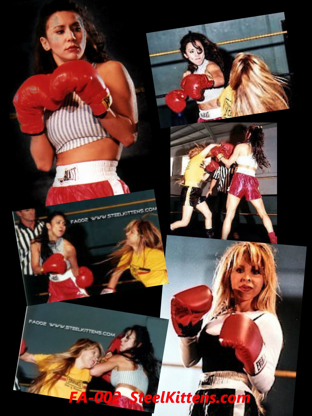 DVD: Pro-Am Boxing I