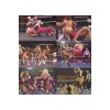 DVD: Vintage Women’s Professional Wrestling VA-70-20